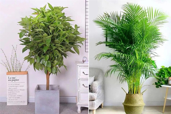 Chống nóng với chi phí tiết kiệm cho nhà ở Nam Bộ